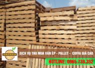 Thu mua pallet gỗ cũ, thùng gỗ, kiện gỗ các loại với giá tốt, tận nơi