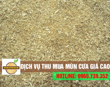 Chuyên thu mua mùn cưa với số lượng lớn - Có xe thu mua tận nơi