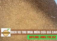 Thu mua mùn cưa ✓Số lượng, khối lượng không giới hạn ✓Giá tốt nhất