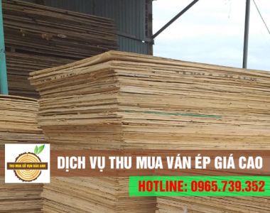 Nhận thu mua ván ép gỗ, ván ép thanh lý giá cao, tận nơi