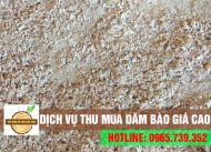 Cơ sở chuyên thu mua dăm bào giá cao tận nơi tại Vũng Tàu