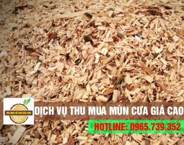 Chuyên nhận thu mua mùn cưa giá cao tại miền nam