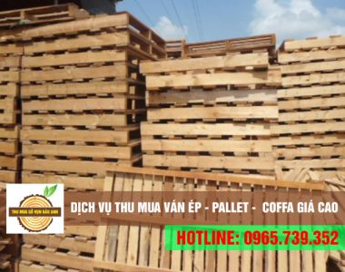 Thu mua pallet gỗ cũ, thùng gỗ, kiện gỗ các loại với giá tốt, tận nơi