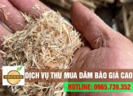 Dịch vụ thu mua dăm bào giá cao, thu mua tận nơi