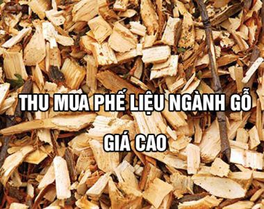 Nhà cung cấp thu mua phế liệu gỗ uy tín tại miền nam