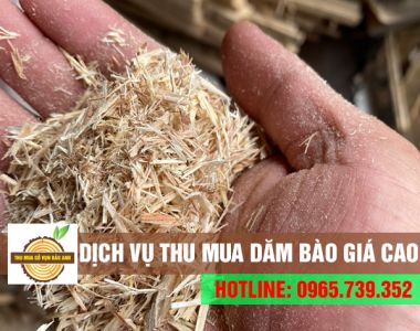 Dịch vụ thu mua dăm bào giá cao, thu mua tận nơi