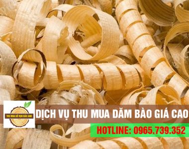 Nhận thu mua dăm bào giá cao tại các tỉnh thành miền nam