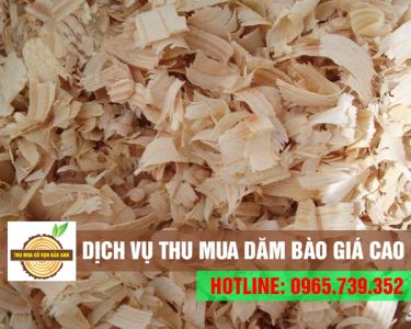 Thu mua dăm bào