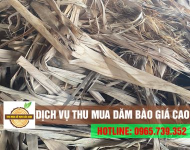 Địa chỉ cung cấp dịch vụ thu mua dăm bào uy tín, giá cao