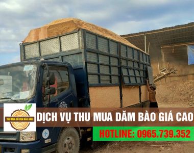 Thu mua dăm bào giá cao tại miền nam - Phục vụ 24/7 - Có xe vận chuyển